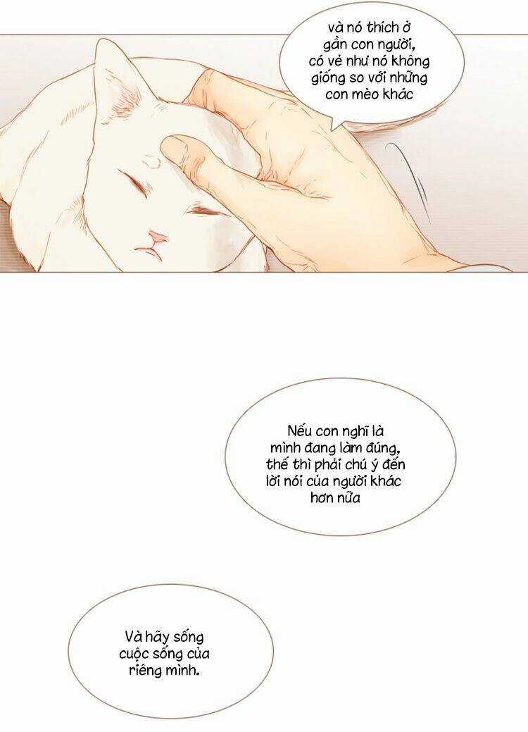 Little Rain Chapter 8 trang 11