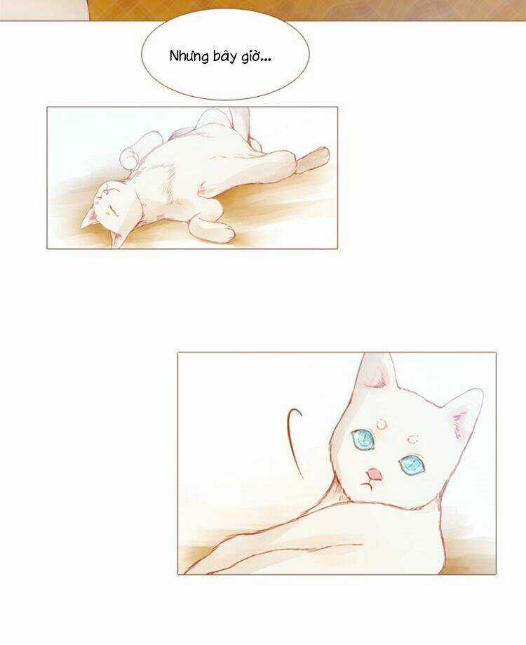 Little Rain Chapter 8 trang 16
