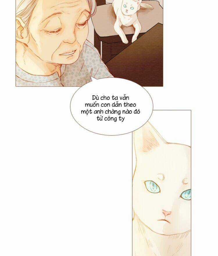 Little Rain Chapter 8 trang 8