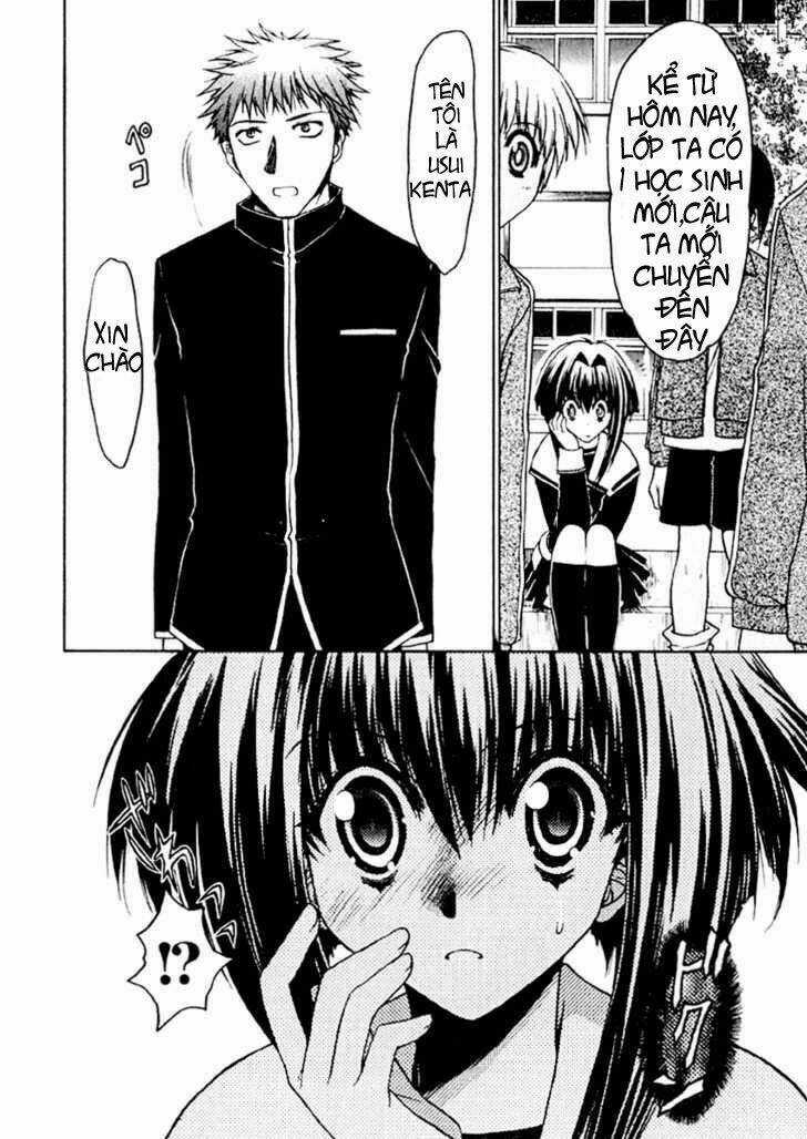 Little Vampire Chapter 1 trang 13