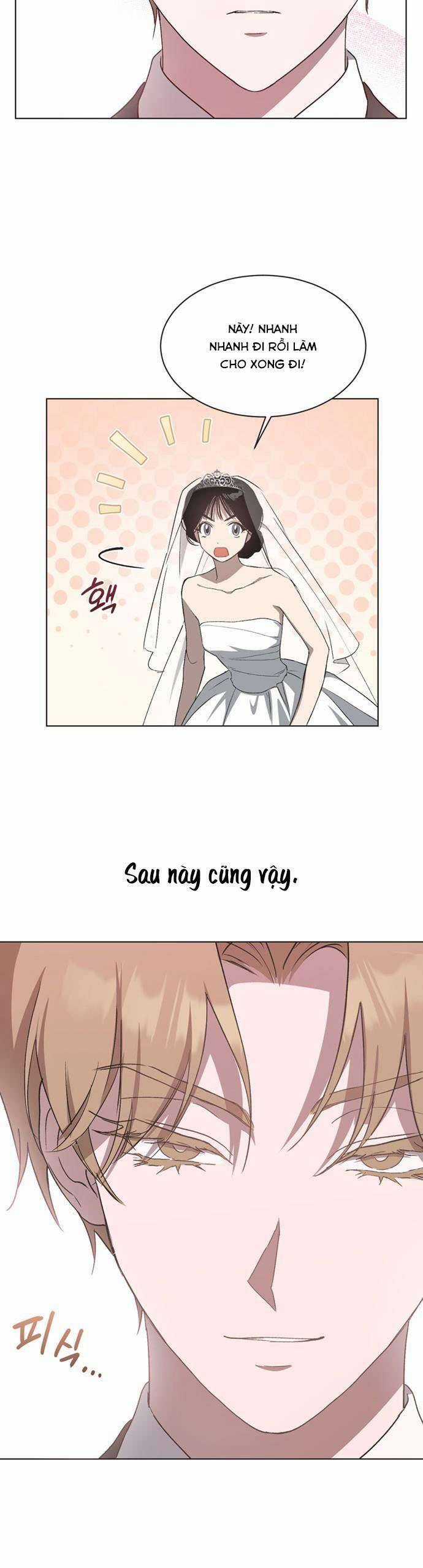 Lọ Lem Không Hoàn Hảo Chương 17 trang 19