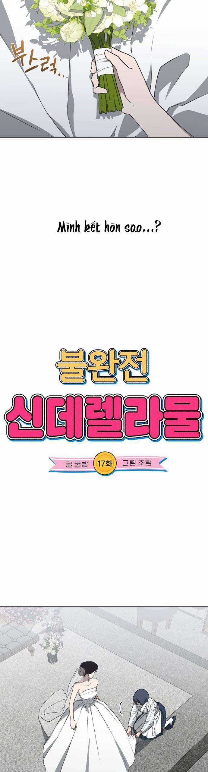 Lọ Lem Không Hoàn Hảo Chương 17 trang 6