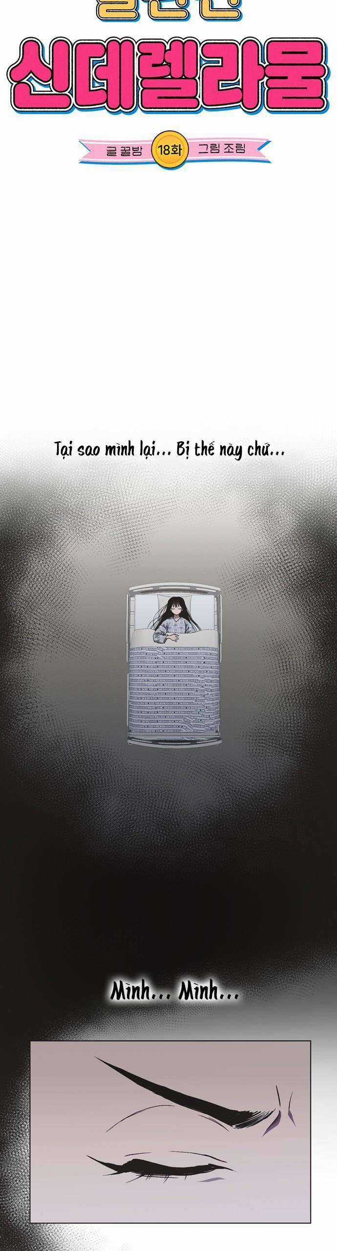 Lọ Lem Không Hoàn Hảo Chương 18 trang 4