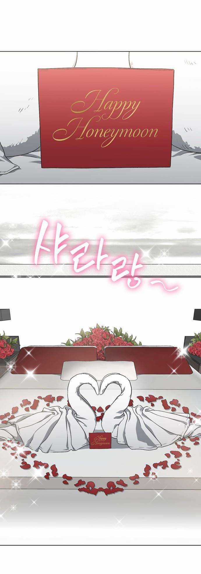 Lọ Lem Không Hoàn Hảo Chương 19 trang 29