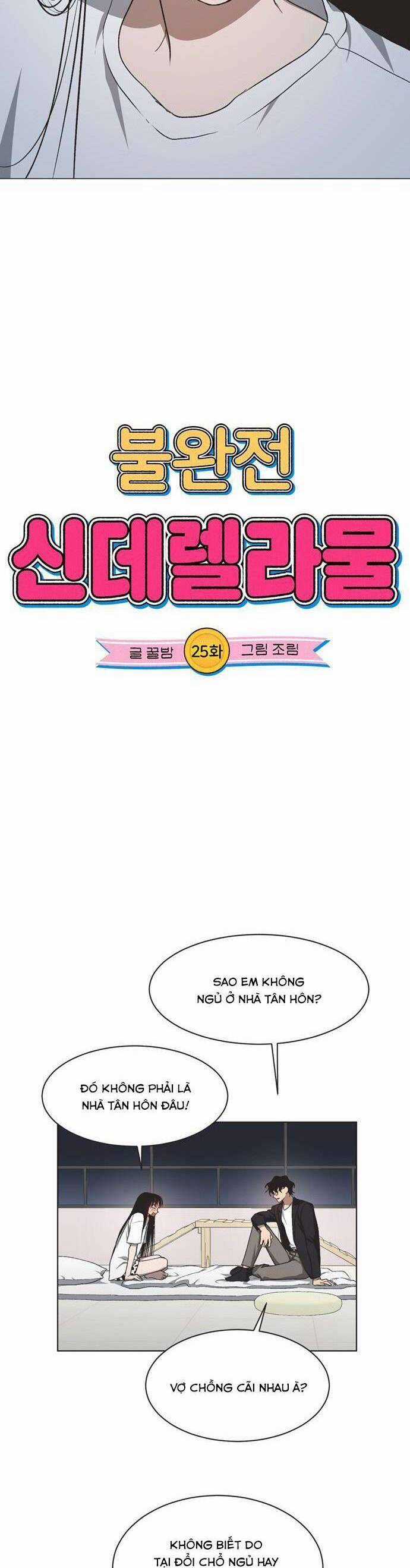 Lọ Lem Không Hoàn Hảo Chương 25 trang 3