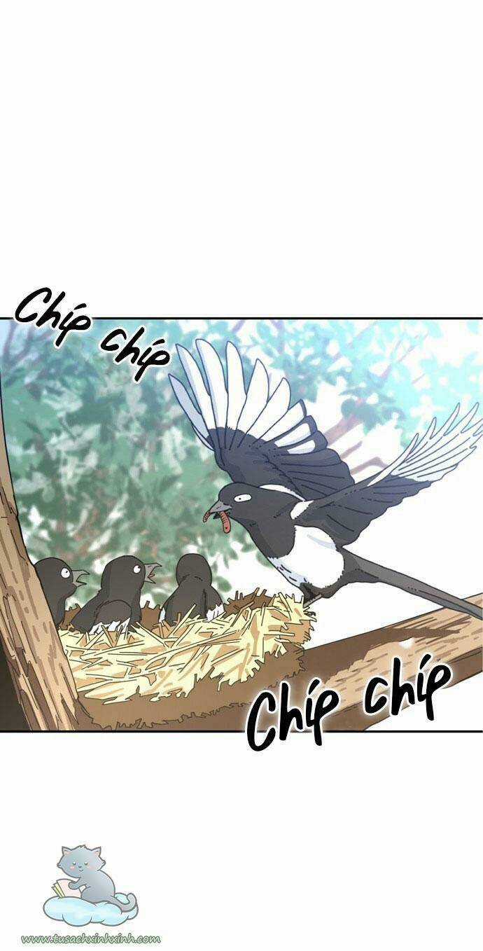 Lớ Ngớ Vớ Phải Tình Yêu Chapter 1 trang 2