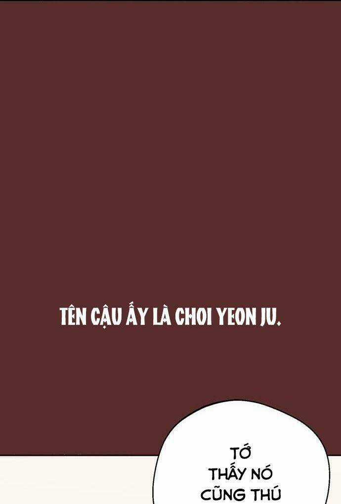 Lớ Ngớ Vớ Phải Tình Yêu Chapter 18 trang 38