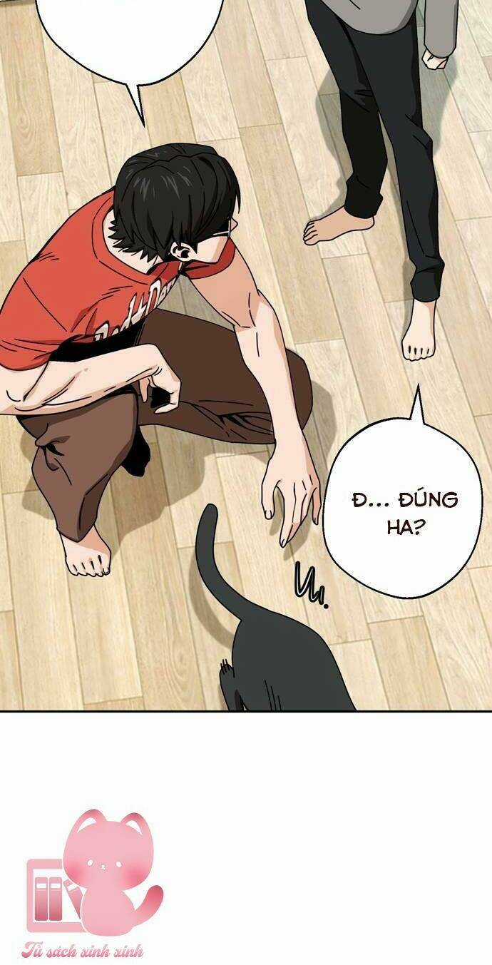 Lớ Ngớ Vớ Phải Tình Yêu Chapter 20 trang 19