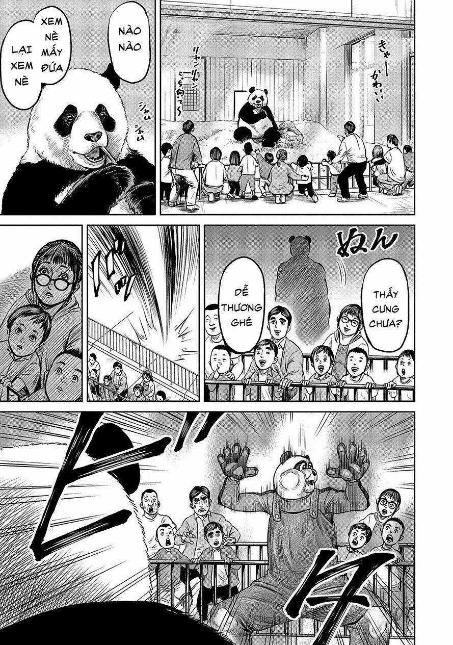 Loạn Đấu Tokyo Chương 4 trang 14