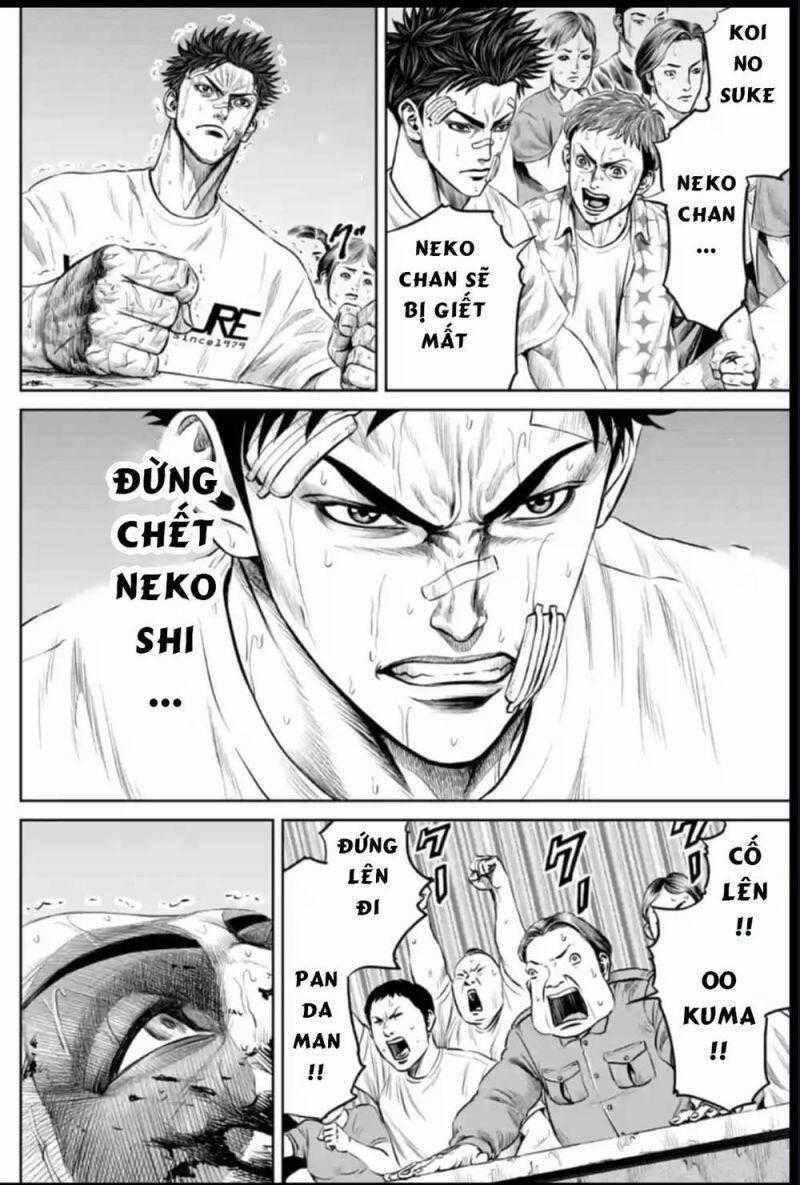 Loạn Đấu Tokyo Chương 41 trang 1