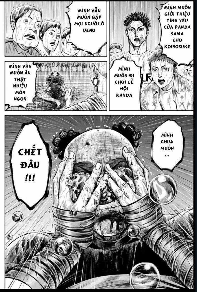 Loạn Đấu Tokyo Chương 41 trang 15