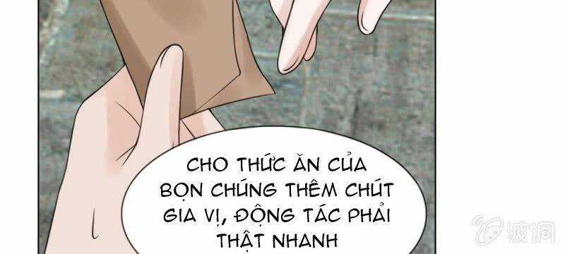 Loạn Thế Đế Hậu Chapter 59 trang 29