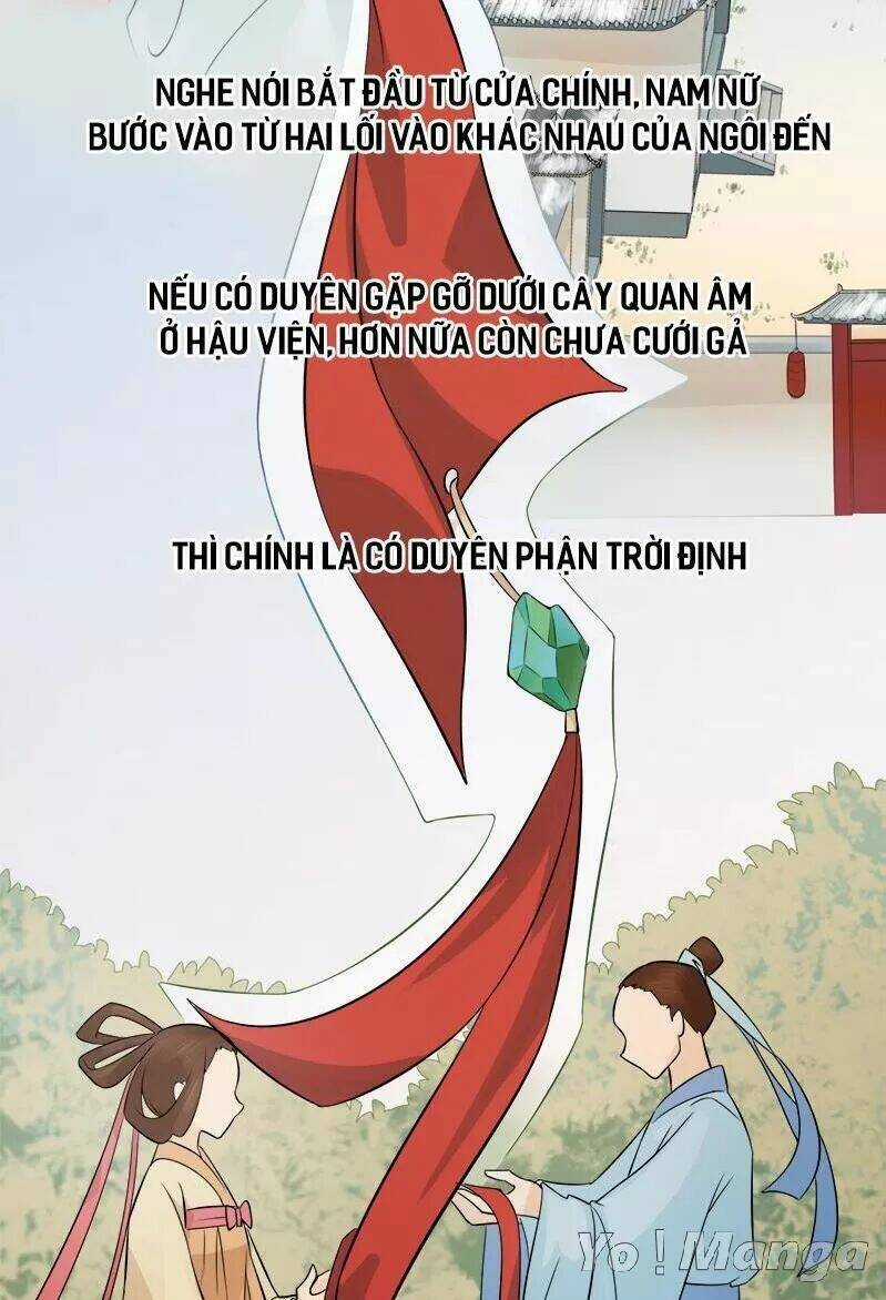 Loạn Thế Hoạ Phi Chapter 28 trang 7