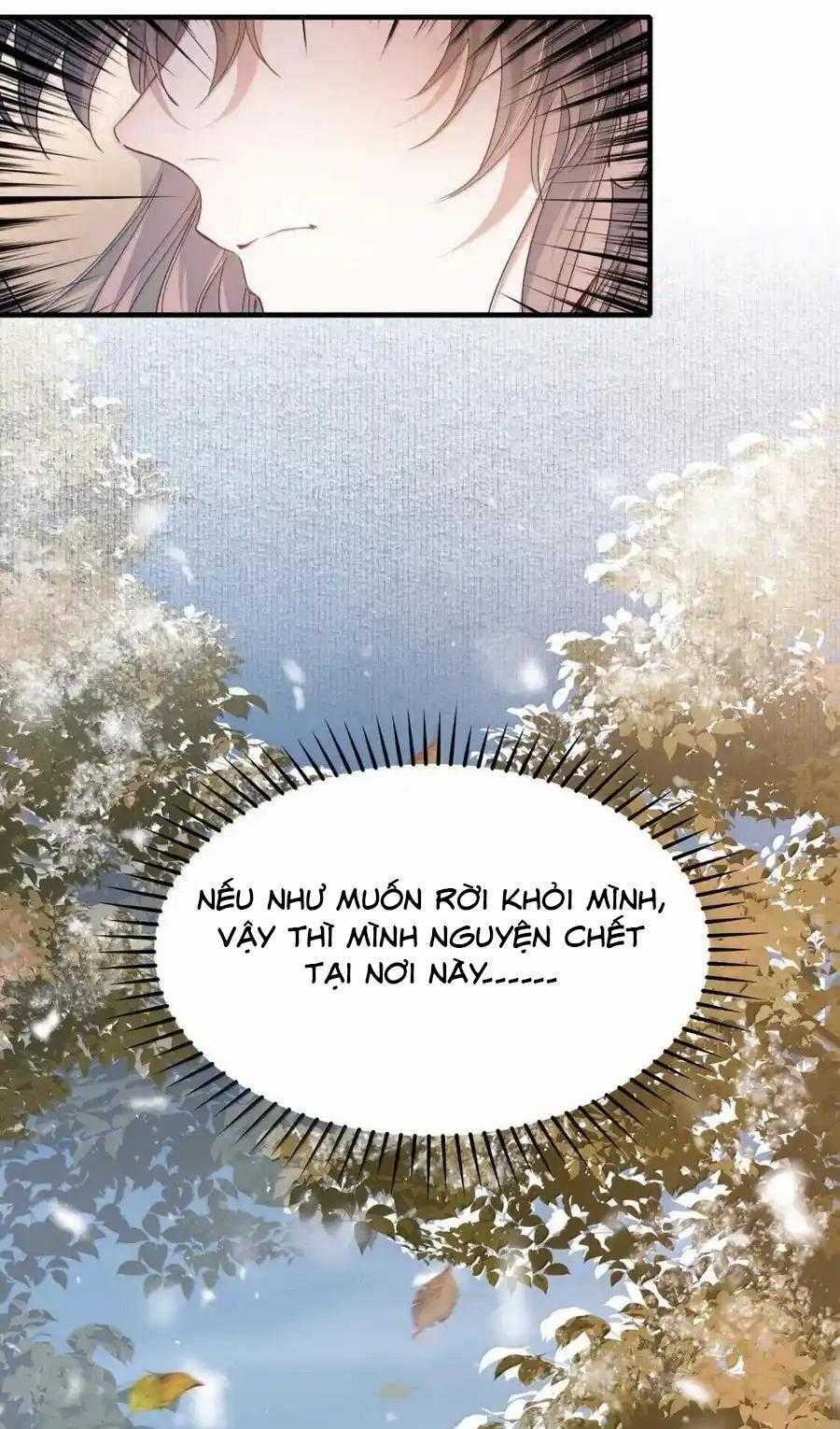 Loạn Thế Vi Vương Chương 117 trang 11