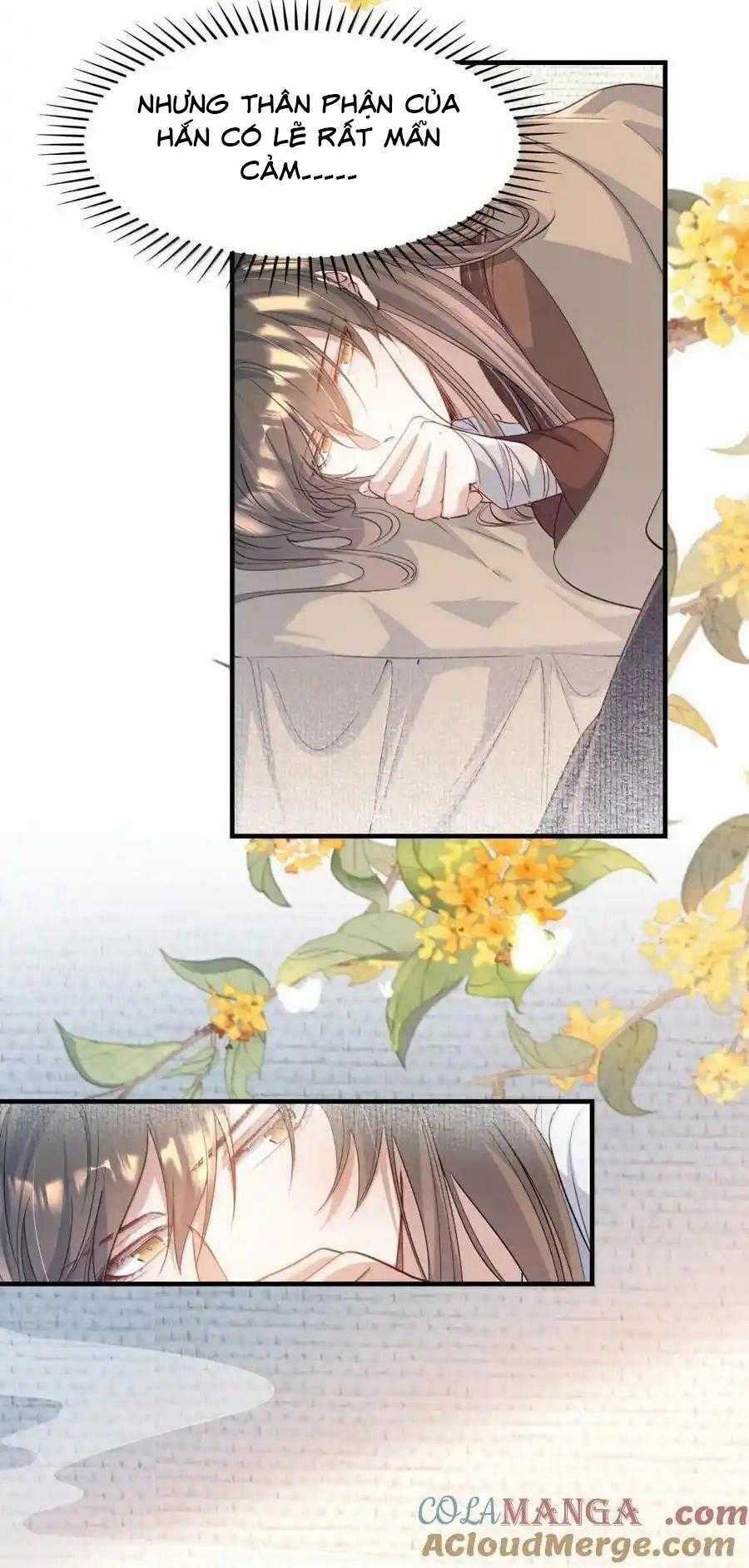 Loạn Thế Vi Vương Chương 117 trang 8