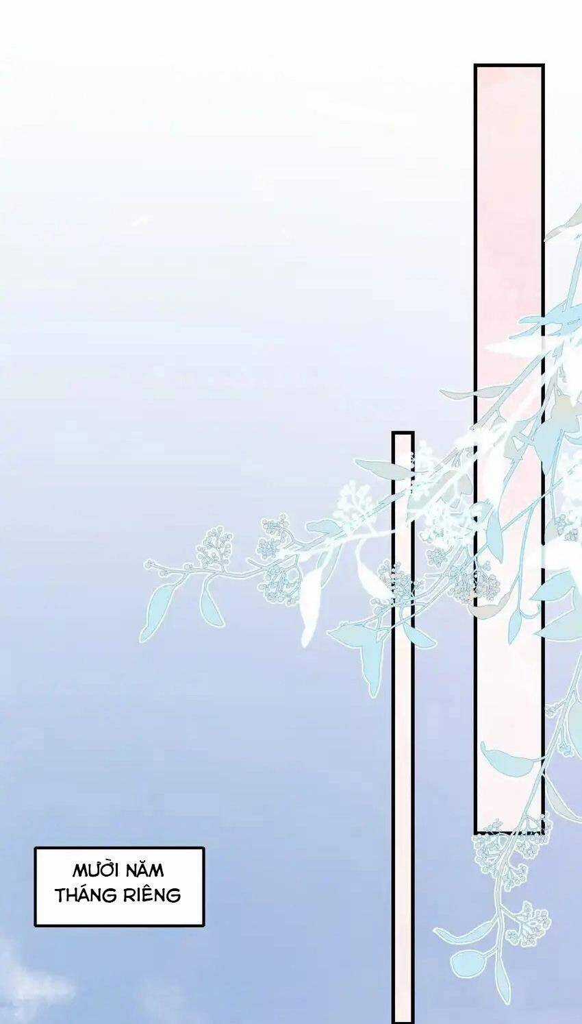 Loạn Thế Vi Vương Chương 65 trang 12