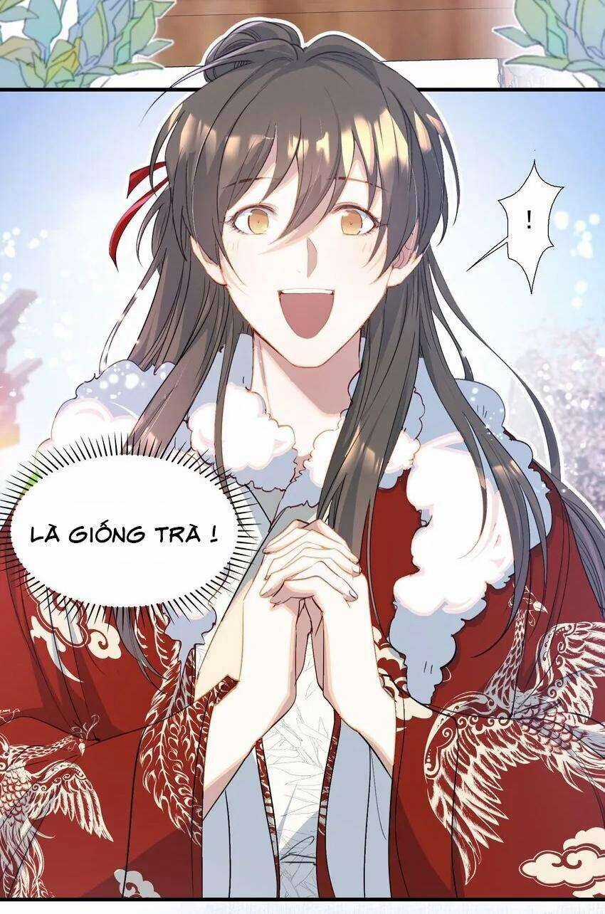 Loạn Thế Vi Vương Chương 78.1 trang 15