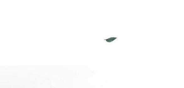 Lời Mời Gọi Của Hậu Cung Chapter 23.2 trang 39