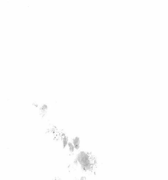 Lời Mời Gọi Của Hậu Cung Chapter 27.1 trang 65