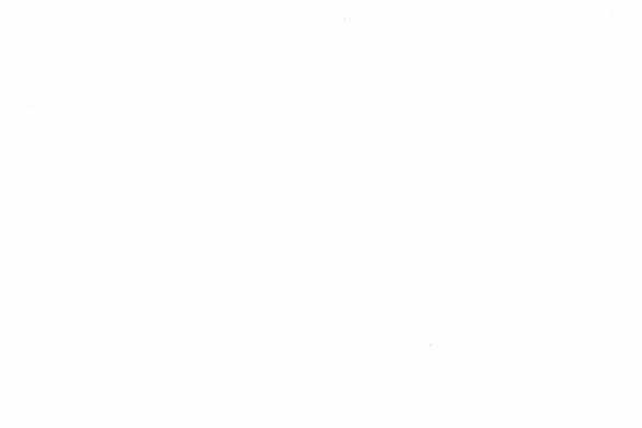 Lời Mời Gọi Của Hậu Cung Chapter 28.1 trang 11