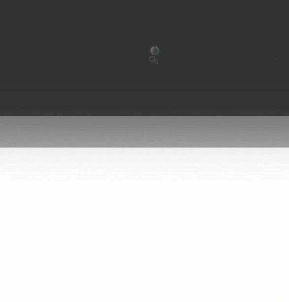 Lời Mời Gọi Của Hậu Cung Chapter 29.1 trang 14