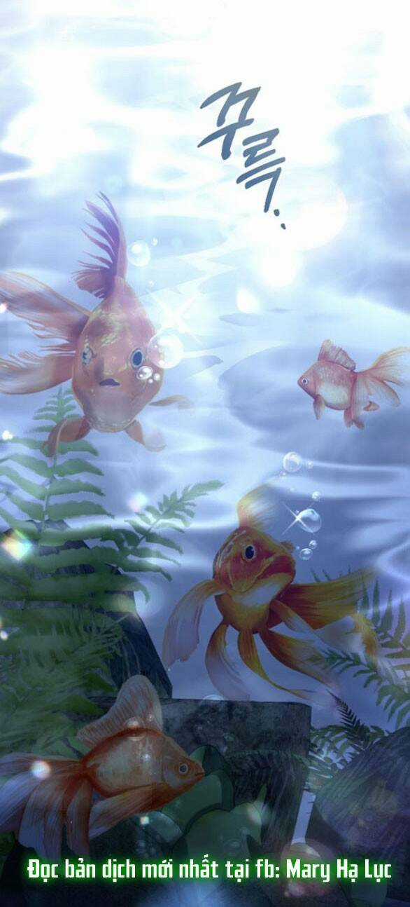 Lời Mời Gọi Của Hậu Cung Chapter 29.1 trang 2