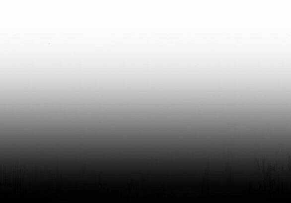 Lời Mời Gọi Của Hậu Cung Chapter 30.1 trang 54