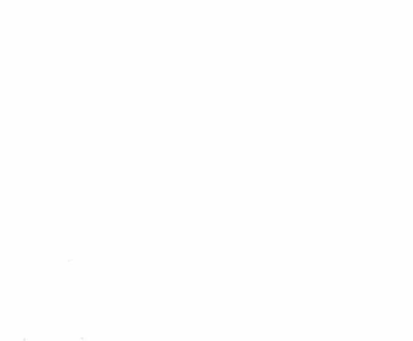 Lời Mời Gọi Của Hậu Cung Chapter 30.2 trang 74