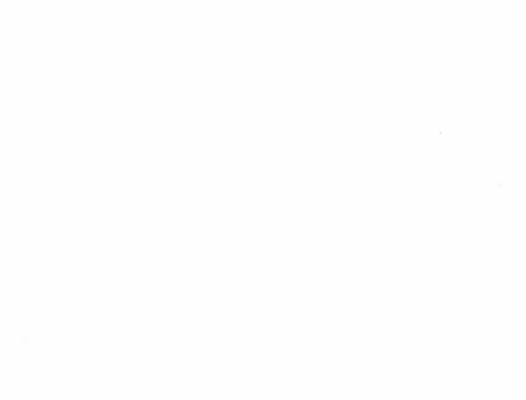 Lời Mời Gọi Của Hậu Cung Chapter 31.2 trang 17