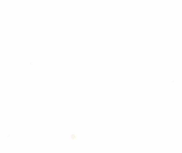 Lời Mời Gọi Của Hậu Cung Chapter 32.2 trang 62