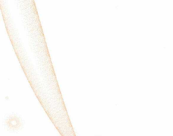 Lời Mời Gọi Của Hậu Cung Chapter 35.2 trang 32