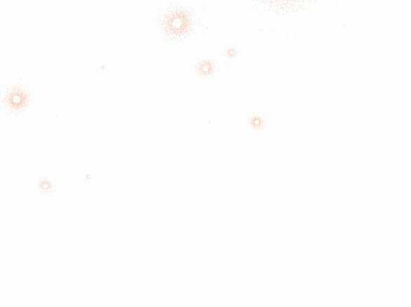 Lời Mời Gọi Của Hậu Cung Chapter 35.2 trang 47