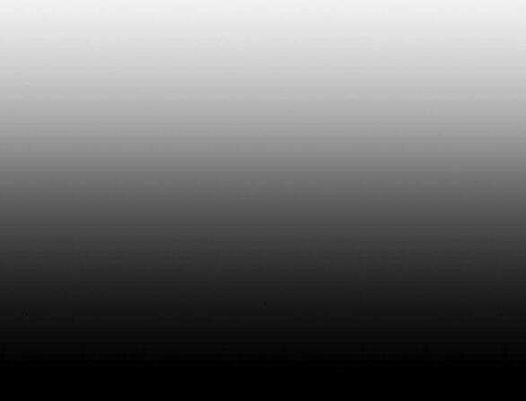 Lời Mời Gọi Của Hậu Cung Chapter 36.2 trang 57