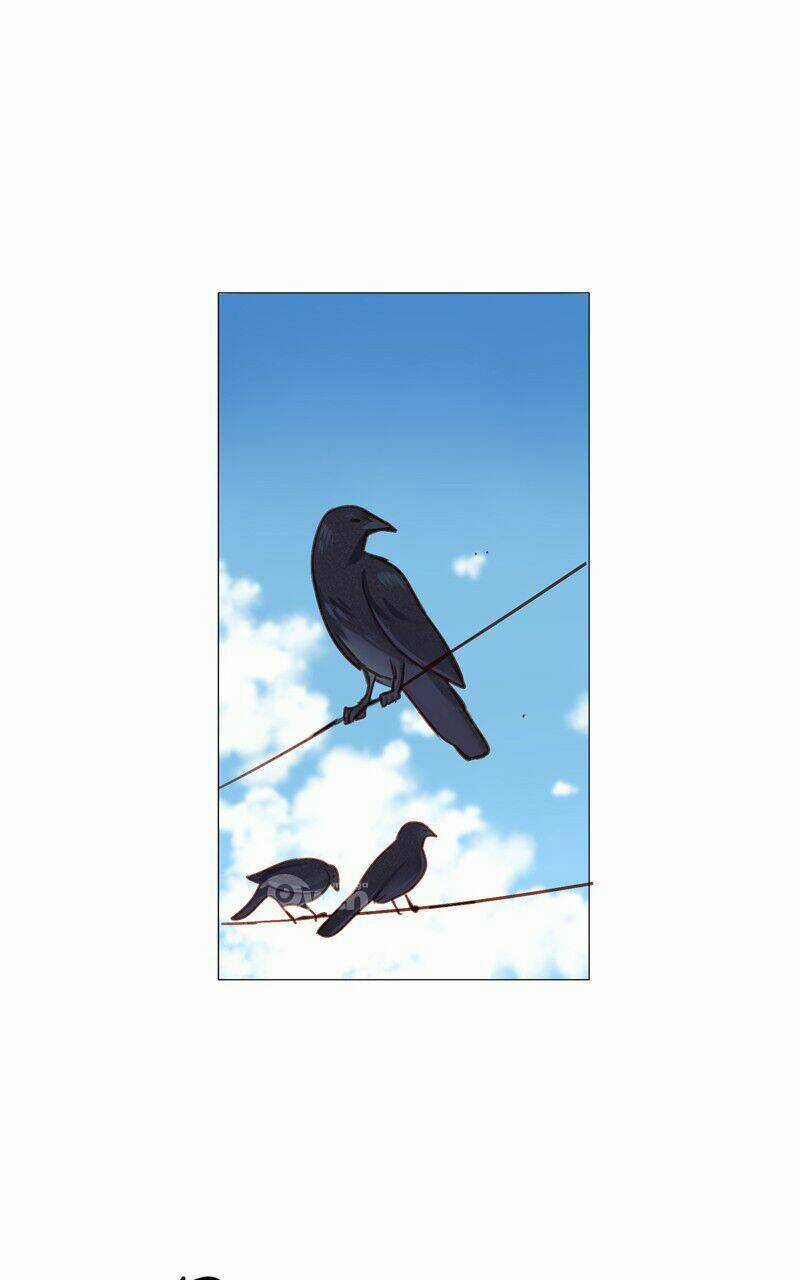 Lời Nguyền Lalin Chapter 15 trang 2