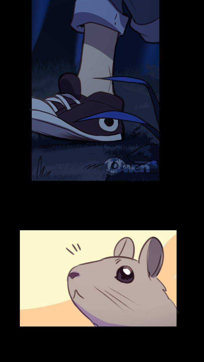 Lời Nguyền Lalin Chapter 33 trang 12