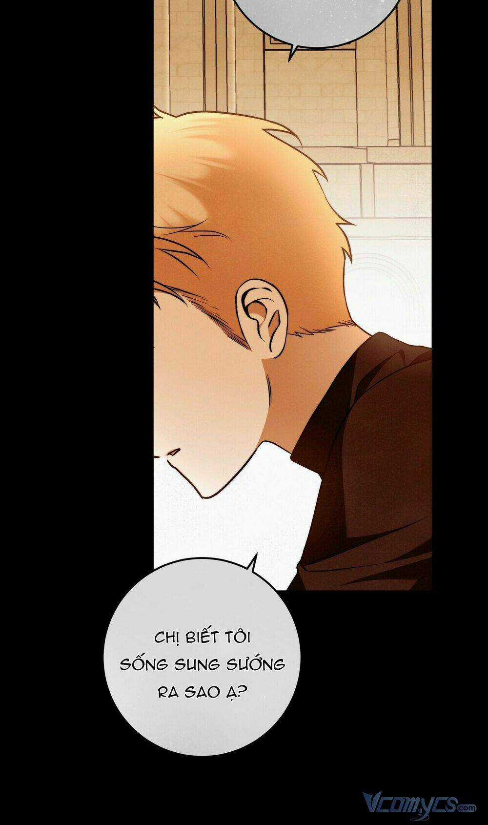 Lời Nói Dối Vĩnh Cửu Chapter 28 trang 27