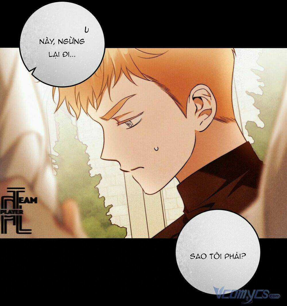 Lời Nói Dối Vĩnh Cửu Chapter 28 trang 53