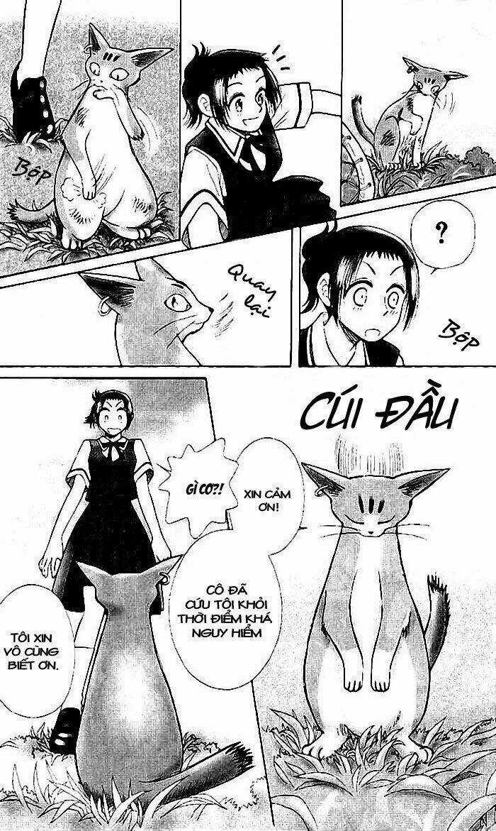 Lời Thì Thầm Từ Trái Tim Chapter 7 trang 13