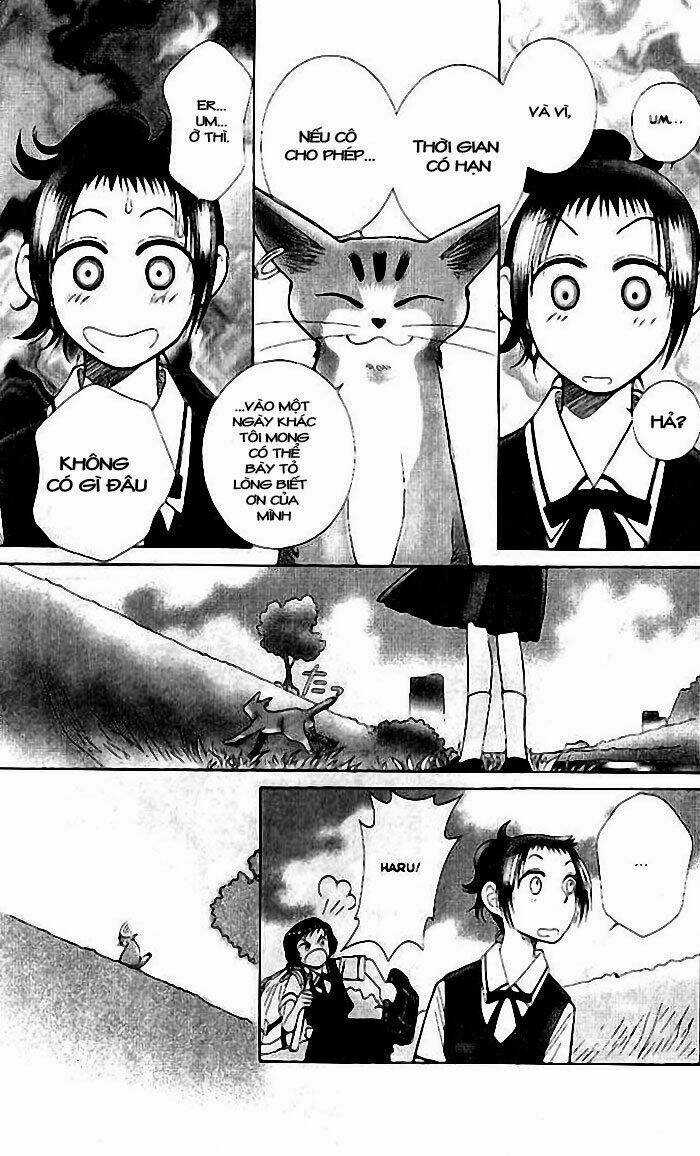 Lời Thì Thầm Từ Trái Tim Chapter 7 trang 14