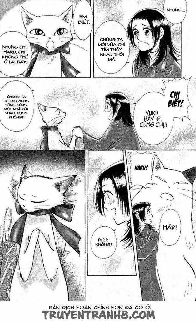 Lời Thì Thầm Từ Trái Tim Chapter 8 trang 11