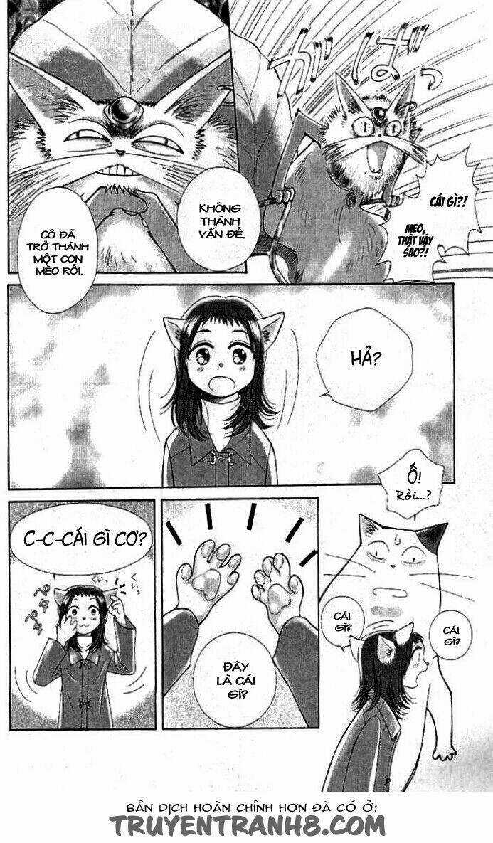 Lời Thì Thầm Từ Trái Tim Chapter 9 trang 21