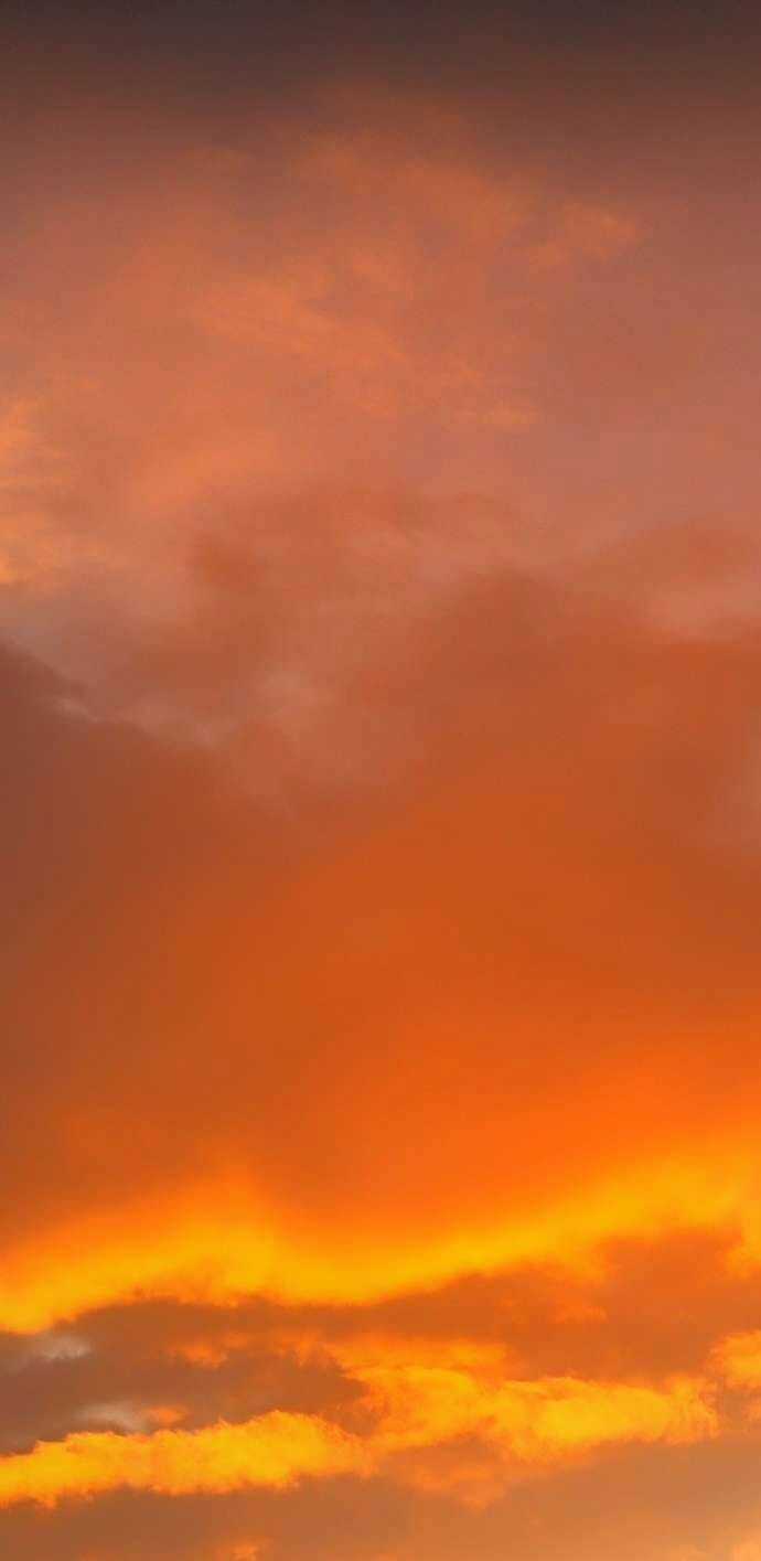 Lời Thú Nhận Của Chúa Tể Bóng Tối Chapter 114 trang 11