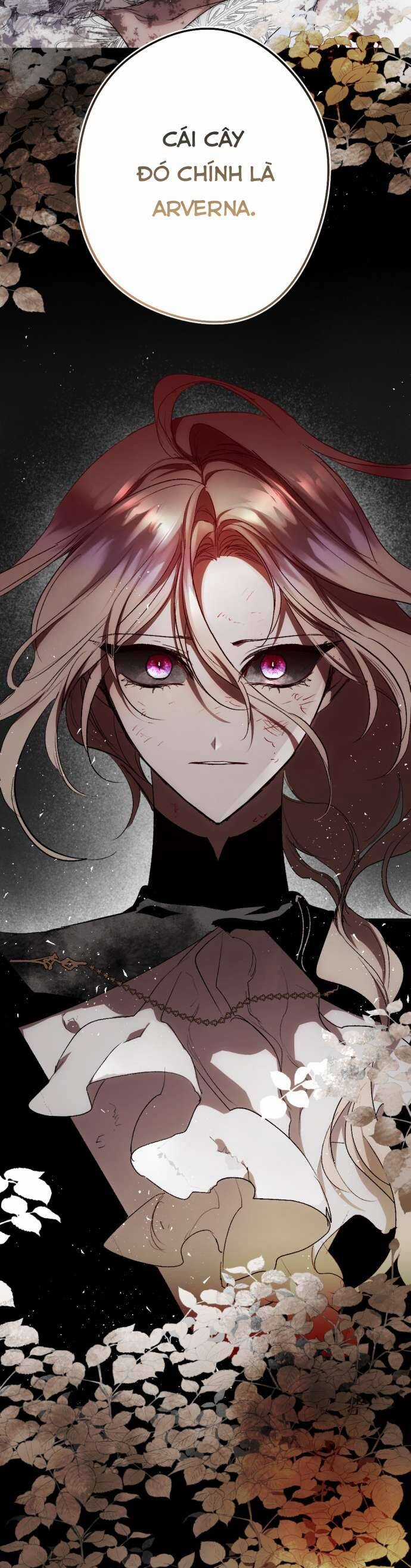 Lời Thú Nhận Của Chúa Tể Bóng Tối Chapter 115 trang 3