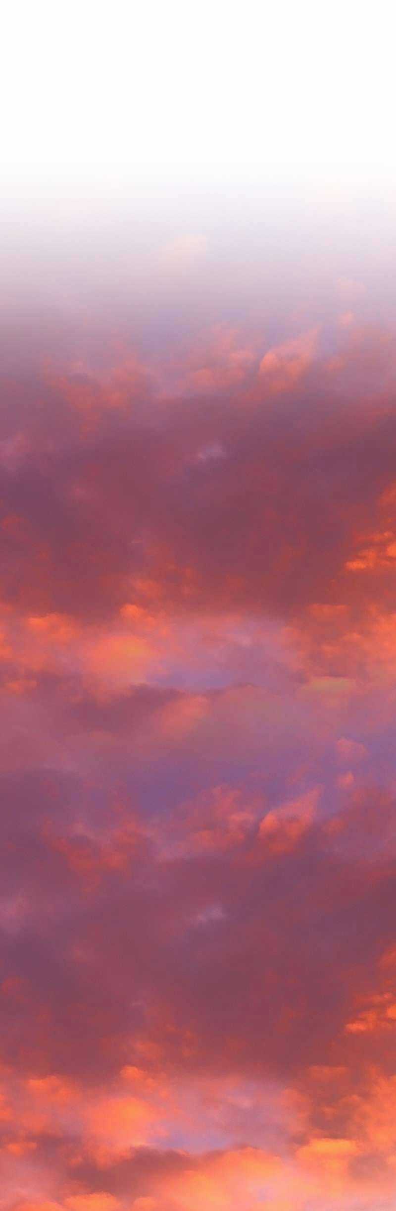 Lời Thú Nhận Của Chúa Tể Bóng Tối Chapter 79 trang 46