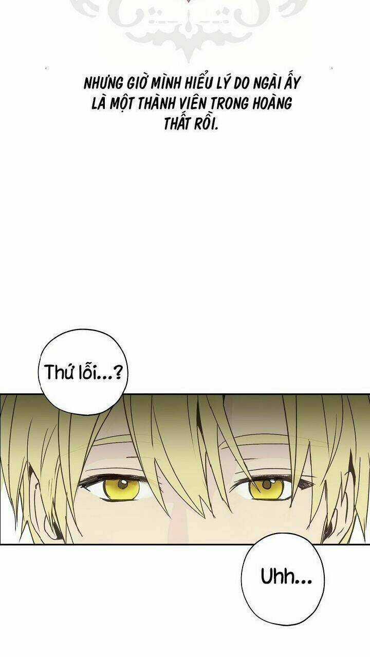 Lời Thú Nhận Nhầm Lẫn Chapter 28 trang 43