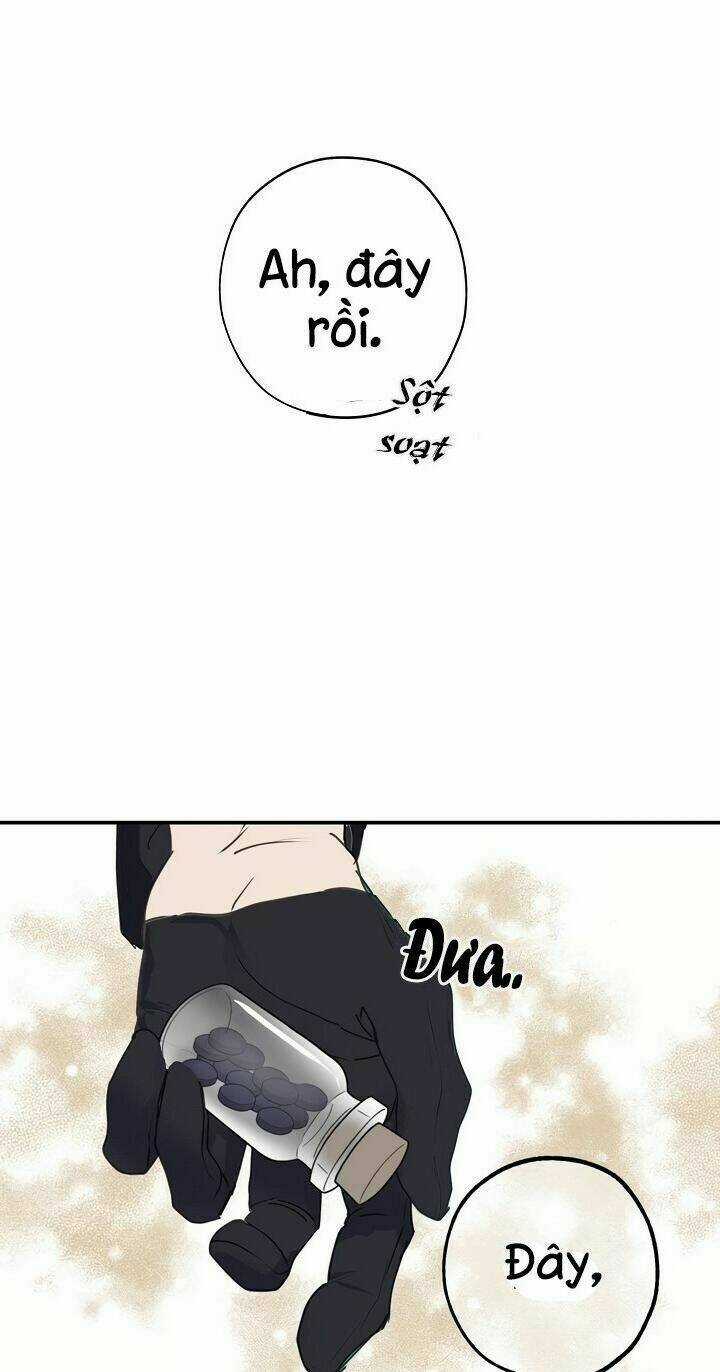 Lời Thú Nhận Nhầm Lẫn Chapter 29 trang 35