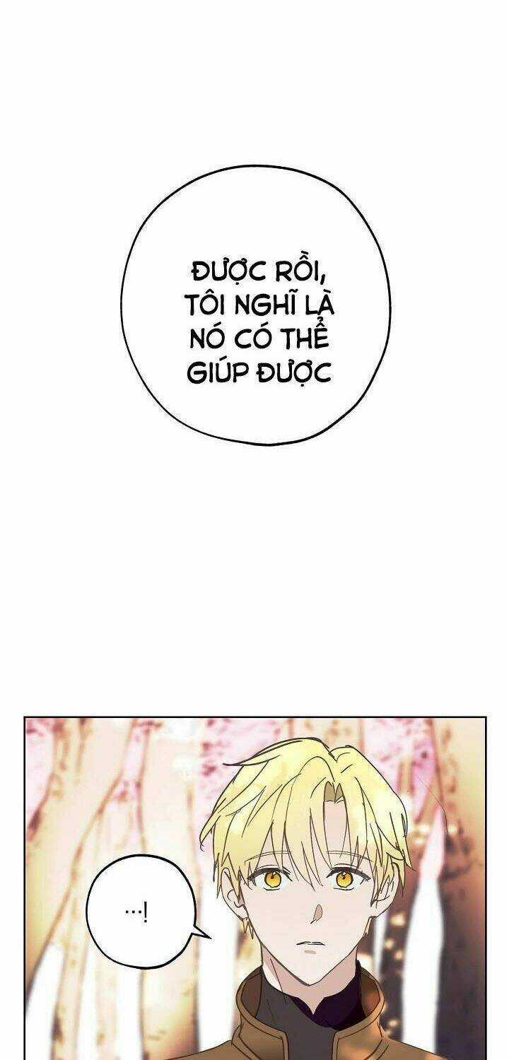 Lời Thú Nhận Nhầm Lẫn Chapter 36 trang 14