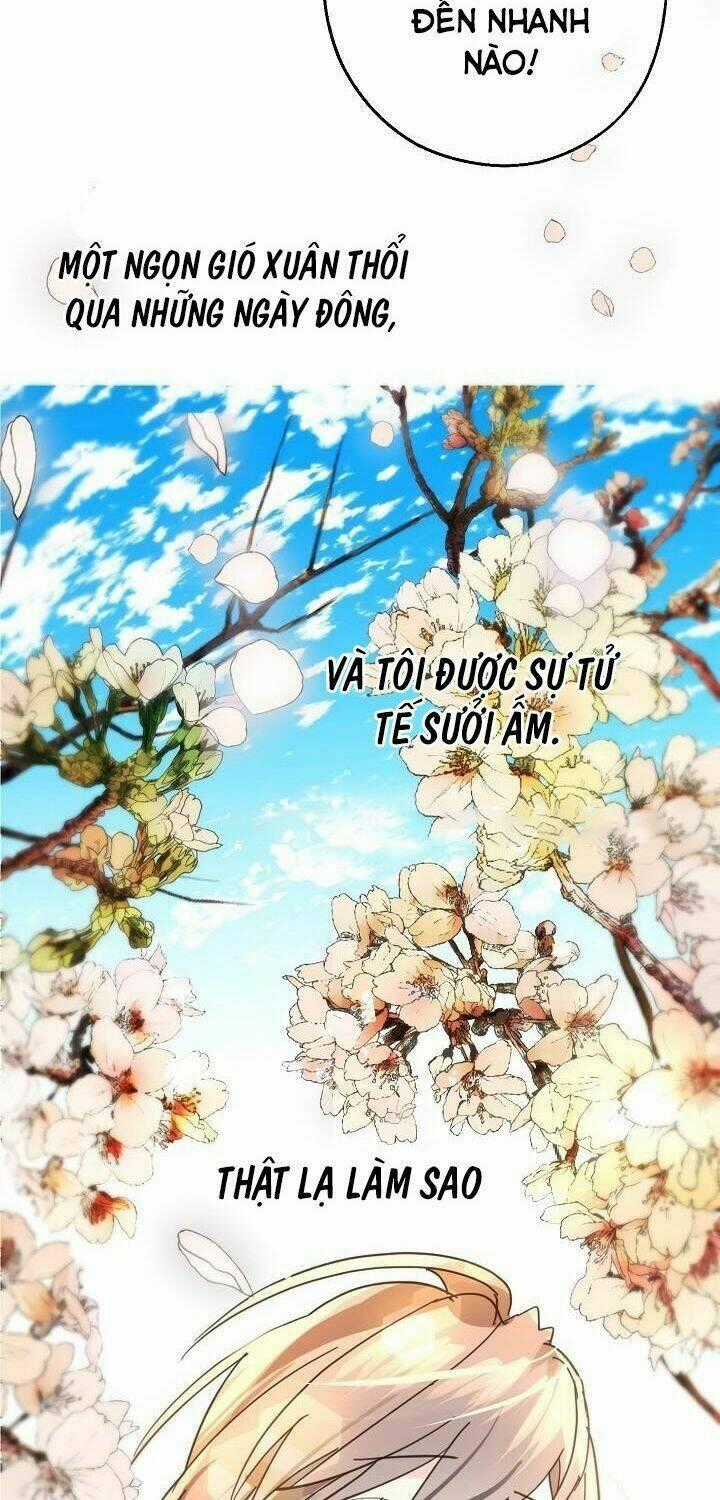 Lời Thú Nhận Nhầm Lẫn Chapter 36 trang 60