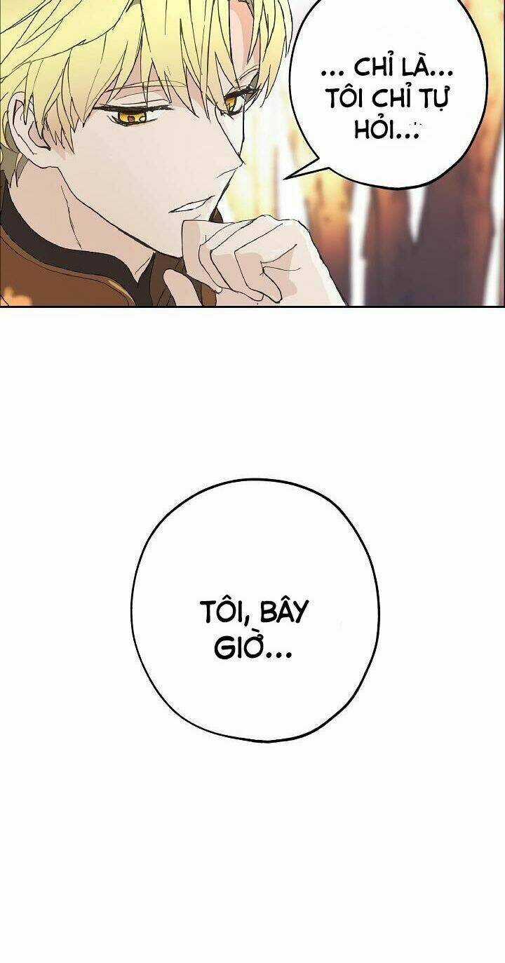 Lời Thú Nhận Nhầm Lẫn Chapter 36 trang 8