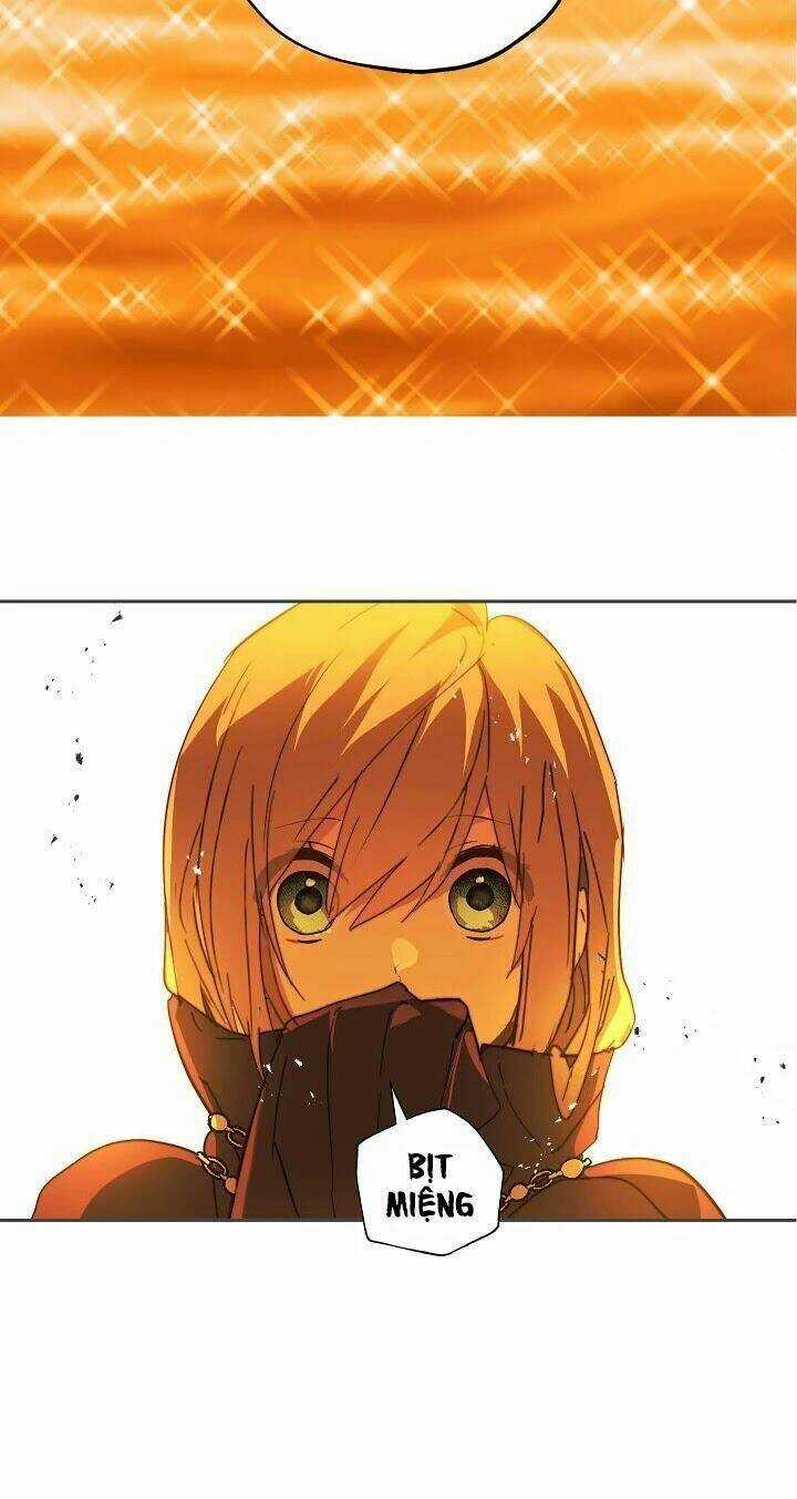 Lời Thú Nhận Nhầm Lẫn Chapter 41 trang 14